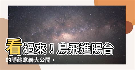 鳥飛到陽台|【鳥飛進陽台】看過來！鳥飛進陽台的隱藏意義大公開，好運馬上。